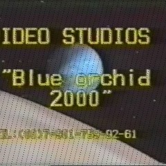 Kdv Blue Orchid 2000 Part1