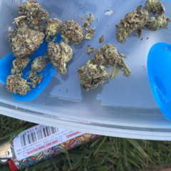 YUNGDENT (prod. Ochoo)