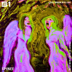 SPINEE - NTS - 02-02-24