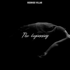 THE BEGINNING