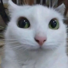 jeremiah voice message to his mother #2