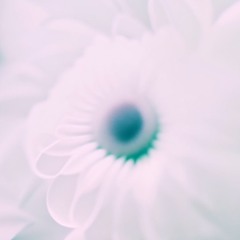Equinox Tapes - Tape 10