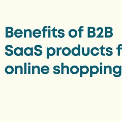 Benefits of B2B SaaS Products | Ketki Prabhat