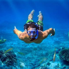 Best Snorkel Tour Big Island Prices Reviews