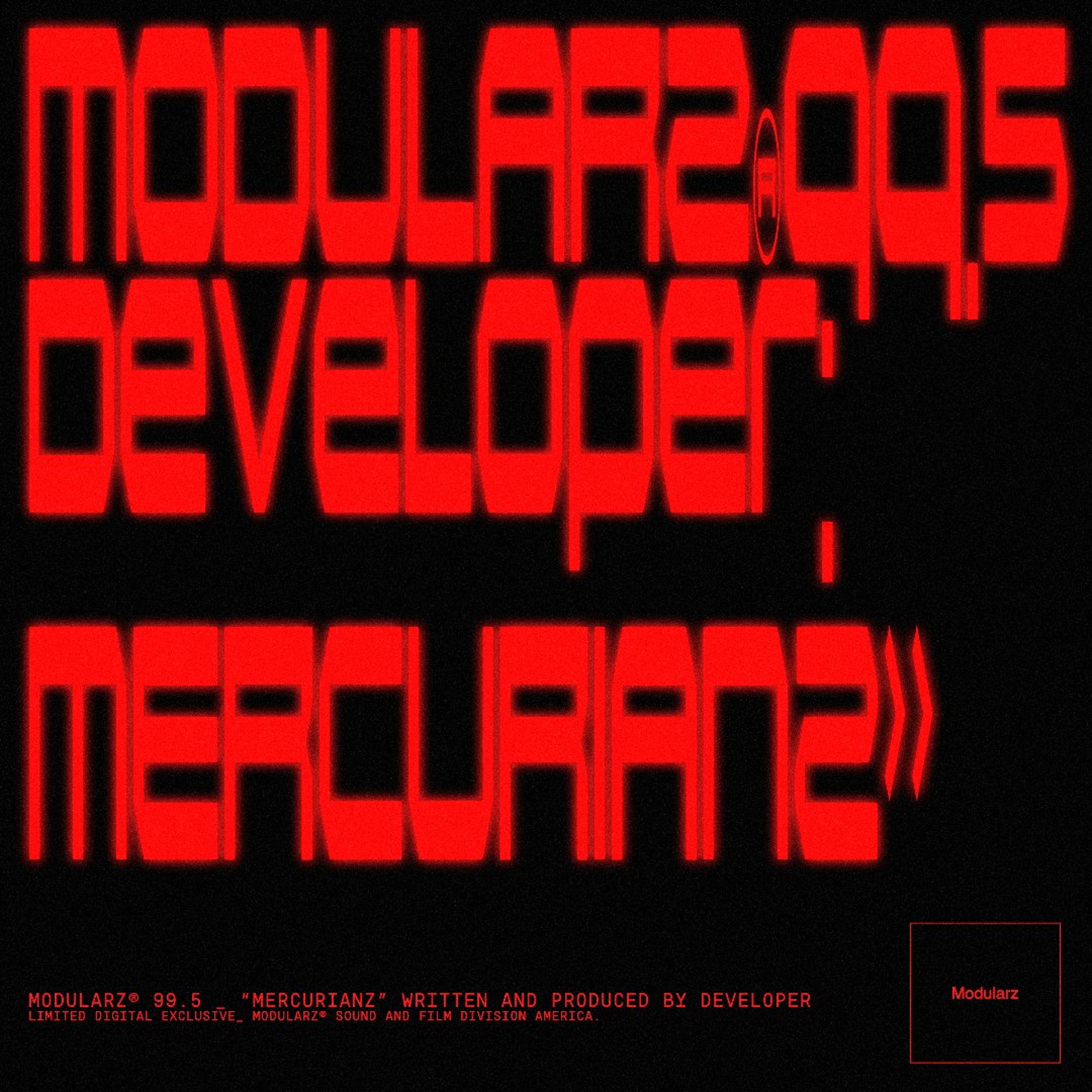 MODULARZ 99/5 // DEVELOPER episode artwork