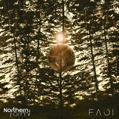 Northern Form - Faoi