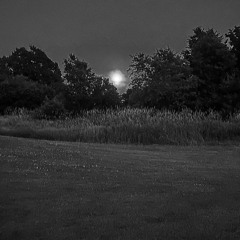 damn this beat is crazy