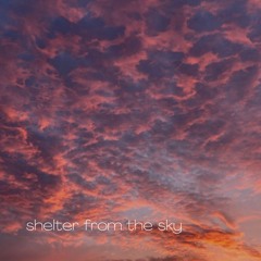 Shelter From The Sky