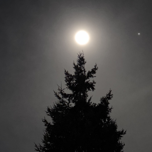 La Evocation of Memories