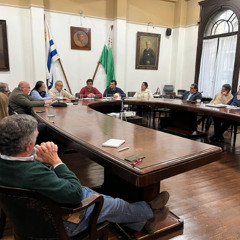 Joaquín Martinicorena 090725