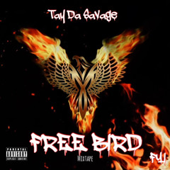 Shadows From The Past