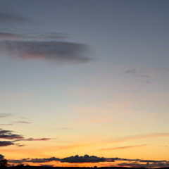Dawn