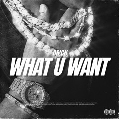 WHAT U WANT (official audio)