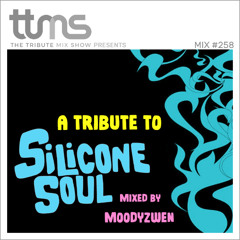 #258 - A Tribute To Silicone Soul - mixed by Moodyzwen