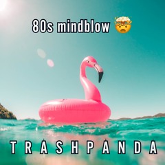 Trash Panda / TP069 / 80s Mindblow (Sunset Mix) / 2023-08-12