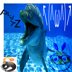 playz (dtna + abstrekt)