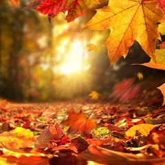 Soul Shivers - Autumn Leaves