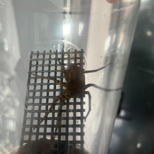 재활치료 프리스타일1