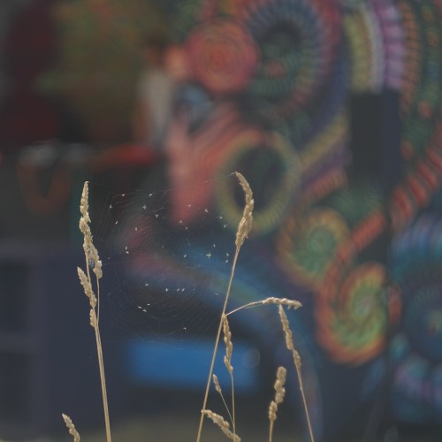 Auralchemist - Moments You Never Want To End