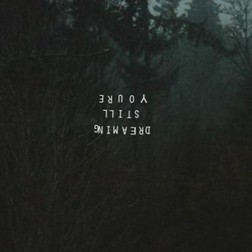 thefallbeforethegetup