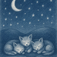 good night kitties /prod. zeromandia + erdo + tarab