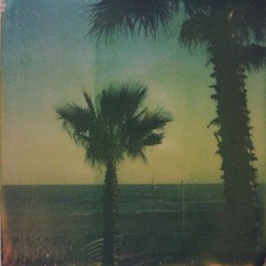 Organicsunlight.