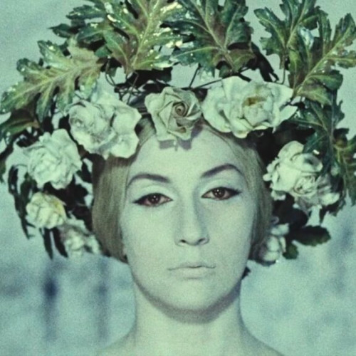 codeine scientist @praiseswag