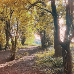 Birkham - Memorytrail (EDIT + EXTENDED)