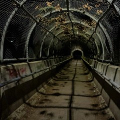 NeverGlad (prod. ROSEGOAT)