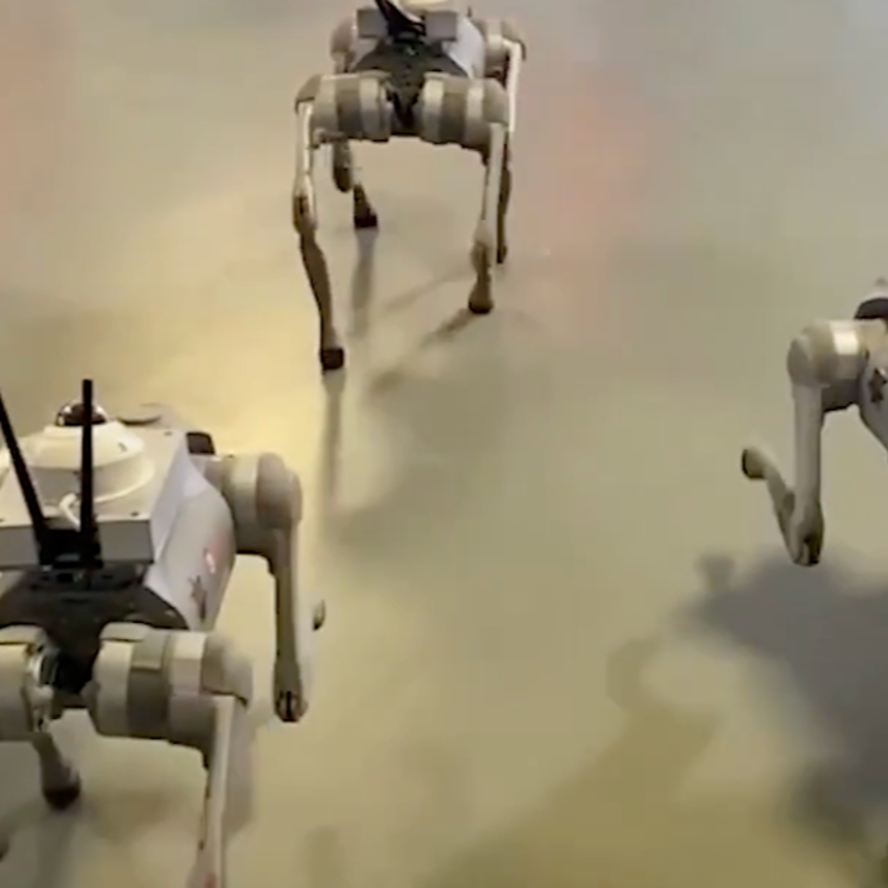 It's A Race Between Revolutionary Consciousness And The Implementation Of Police Robots episode artwork