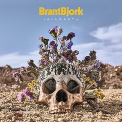 Automatic Fantastic (2019 Remastered)
