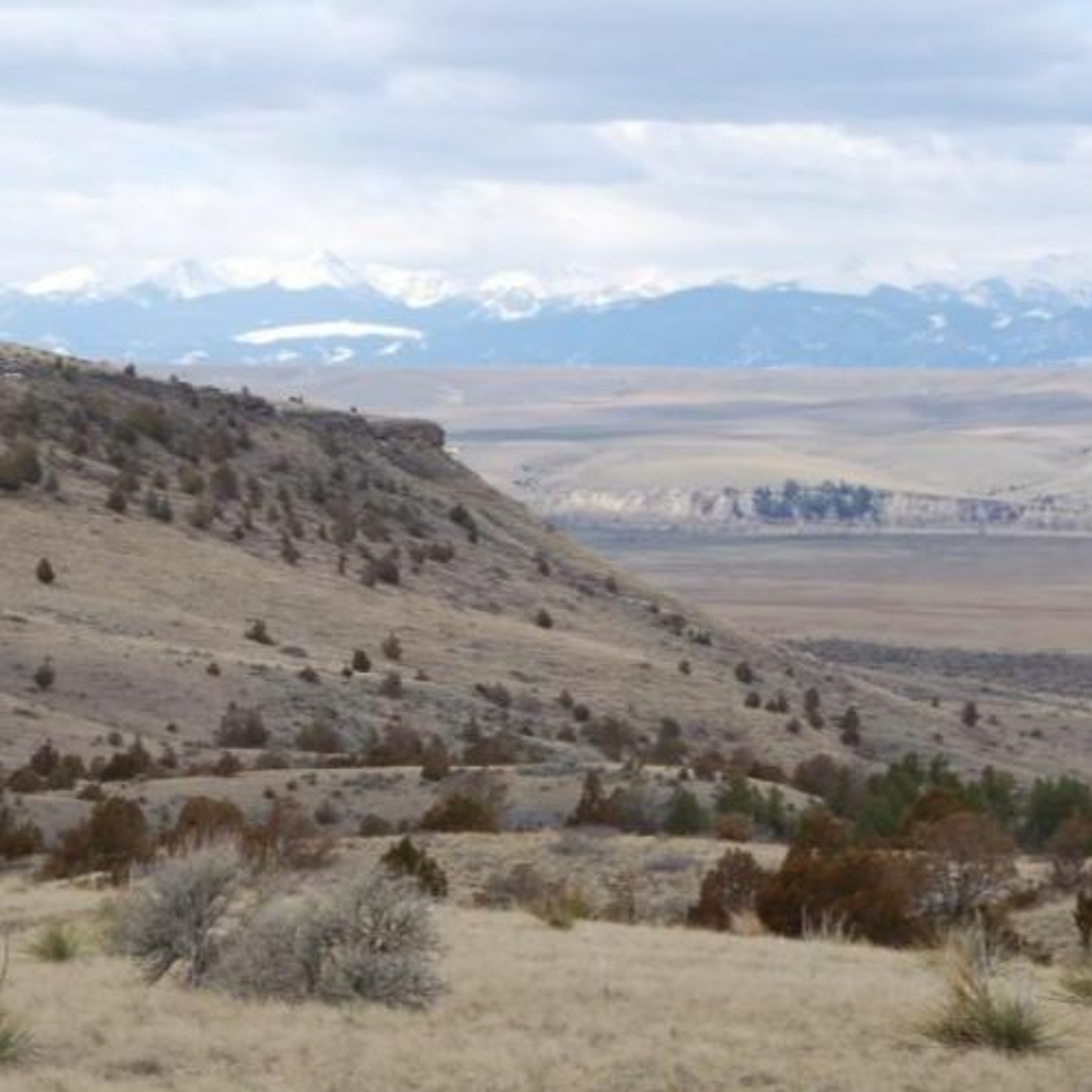 Trail of the Week