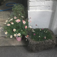 김수영 - 첫인상 (김건모) (cover)