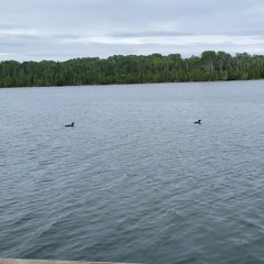 Smothered In Everglow