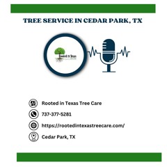 save-money-tree-removal-cedar-park-t