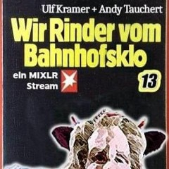 Wir Rinder vom Bahnhofsklo 013 with Ulf Kramer & Andy Tauchert