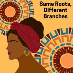Same Roots, Different Branches - CCSE Podcast