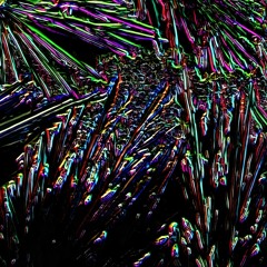 IS IT FINALLY HAPPENING?