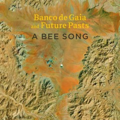 Banco De Gaia & Future Pasts - A Bee Song (preview)