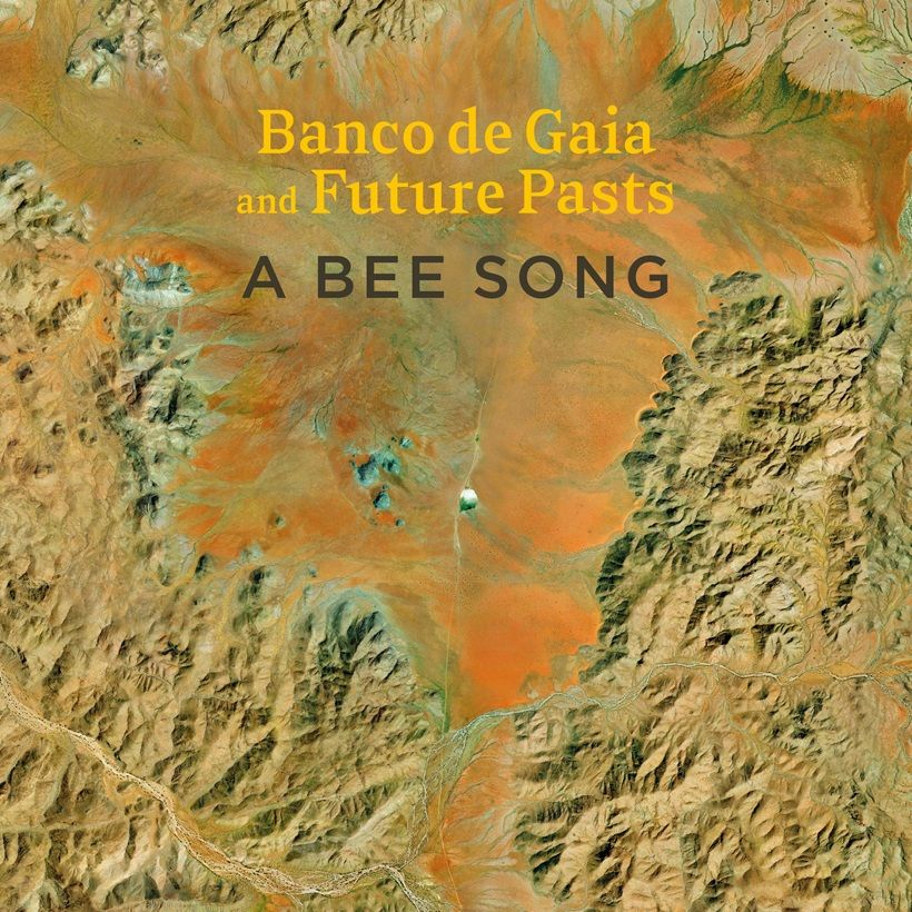 Banco de Gaia