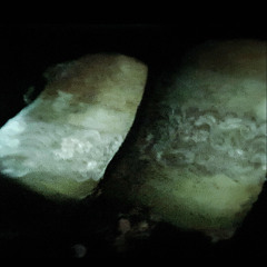 To the grave again (demo)