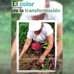El color de la transformación