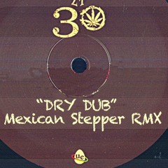 Dry Dub - ZT Remix