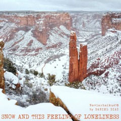 Snow and this feeling of loneliness (naviarhaiku419)