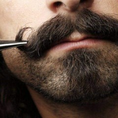 أنت ذو شارب يا ربيع - قصة قصيرة