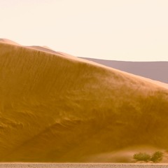 DUNE 02  A Meditation