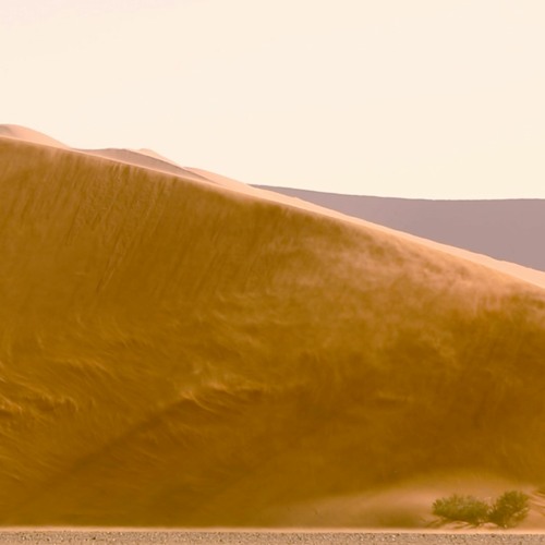 DUNE 02  A Meditation