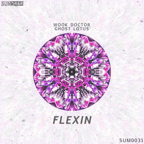 Wook Doctor & Ghost Lotus - Flexin //SUM0031