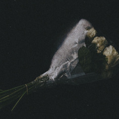 S33N