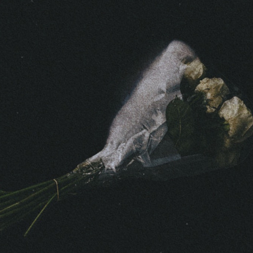 S33N